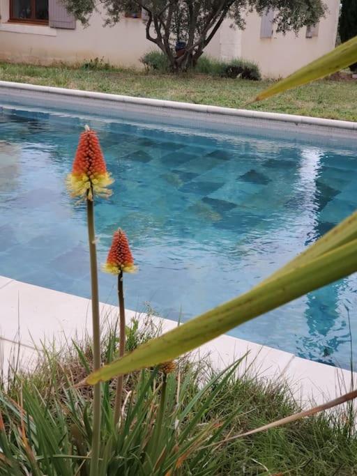 Reve En Luberon Villa Lauris Eksteriør bilde