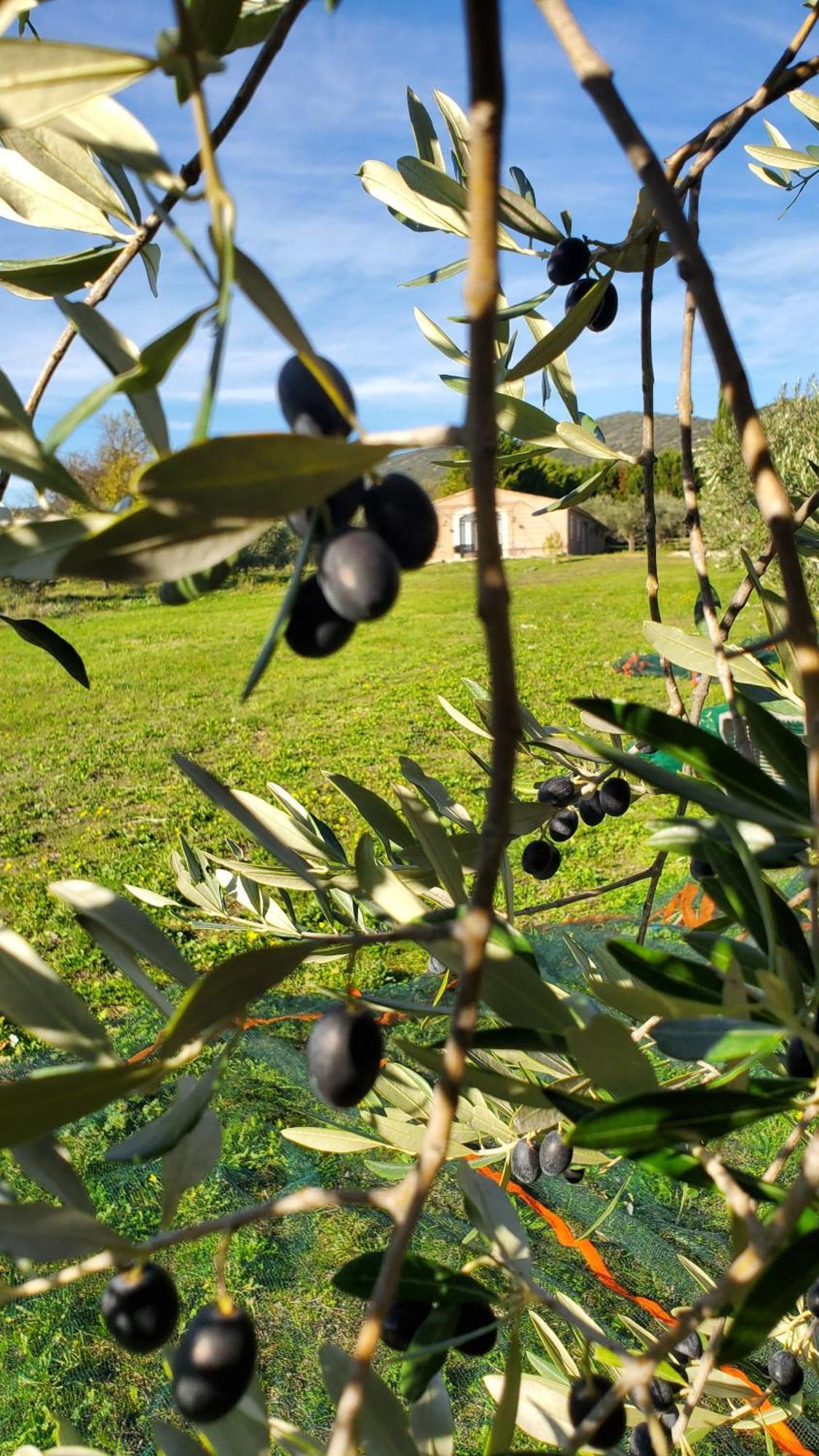 Reve En Luberon Villa Lauris Eksteriør bilde